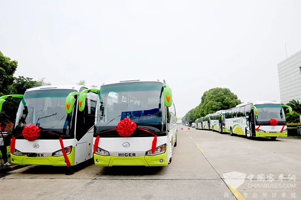 新研氢能 苏州金龙 赶趟出行 燃料电池