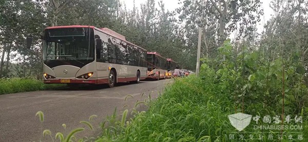 天津公交 防洪防汛 坚守岗位 乘客安全出行