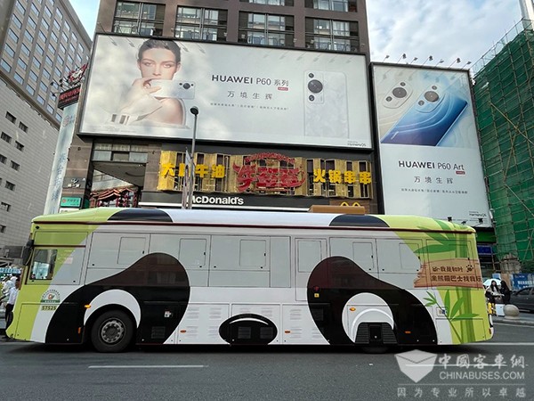 成都公交 杭州公交 熊猫巴士 公交主题车