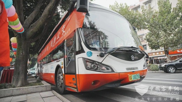 成都公交 铃停巴士 开通半年 出行服务