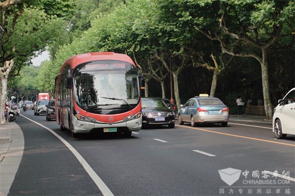 格力钛新能源 欣赏 不同地方 最美秋色 陪伴你左右