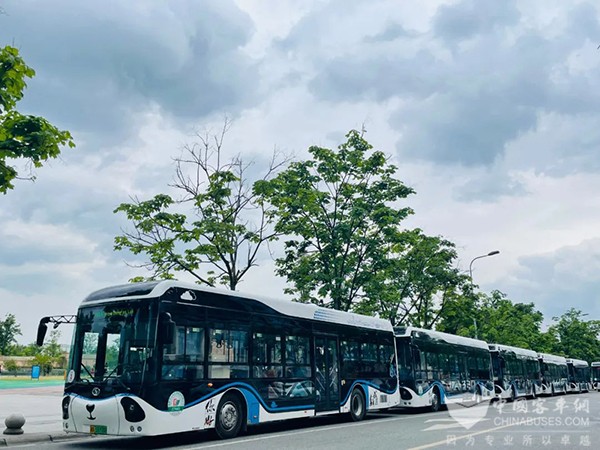 成都公交 世界科幻大会 交通保障