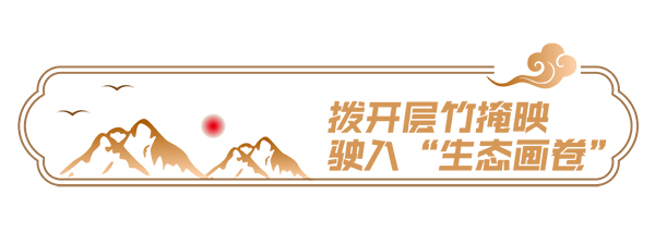 安凯客车 G9 G6 纯电动客车 农旅结合