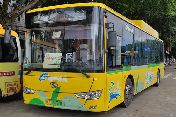 海口这12条公交专线有些特殊 全部使用无障碍低地板入口客车