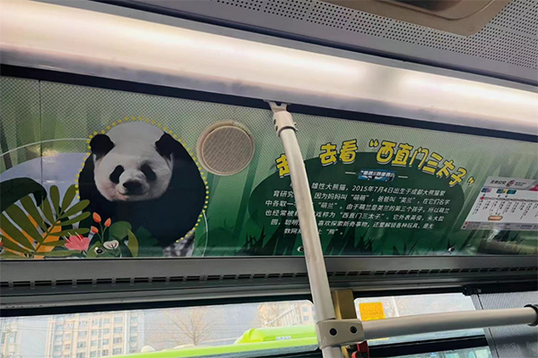 西直门三太子“越狱”成功 北京公交“熊猫家族”文化车厢上线