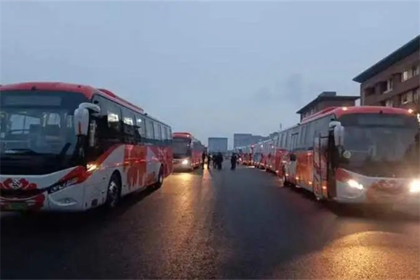 不用赶时间！洛阳公交定制线路助高三学子体检