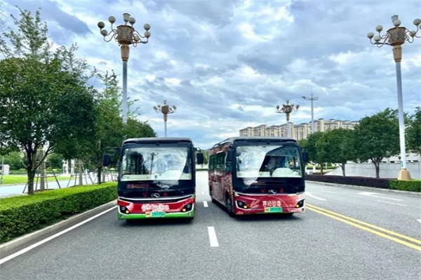 金龙“炫酷”婚车 “囍”卷全城