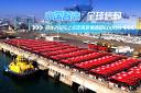 中国智造 全球信赖:金龙2025上半年海外销售超6000台