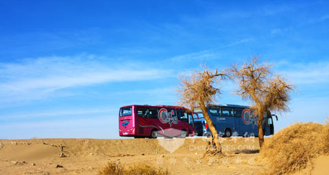 “赢运中国”巡展为大金龙赢得更多市场份额积攒了足够的动力