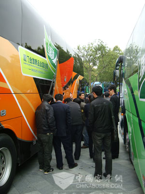 客户在现场看车