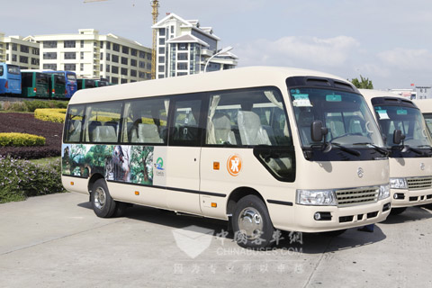 即将交付重庆旅游局的现代底盘考斯特