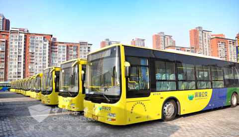 46台金旅混合动力新能源客车整装待发