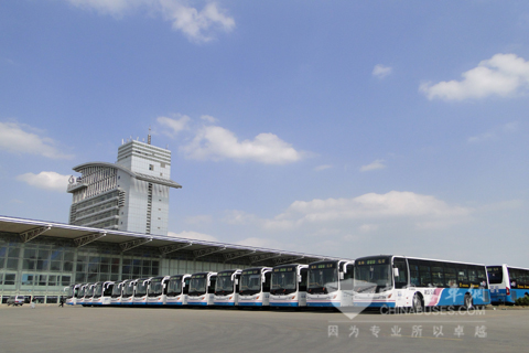 温馨巴士的中通客车越来越多