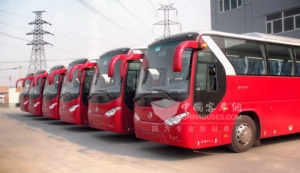 北旅时代大规模车辆更新首选厦门金旅