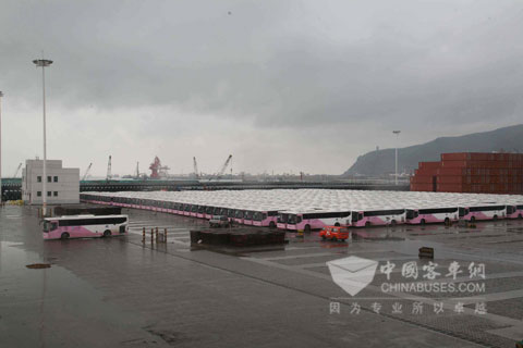 出口沙特的安凯校车