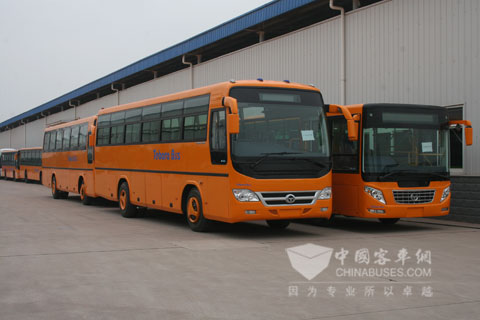 蓄势前往斐济的12辆恒通客车