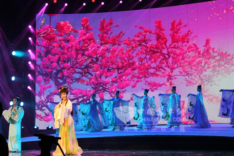 十艺节庆祝盛会演出现场