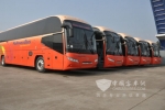 大型豪华客车，青年客车稳居行业前十