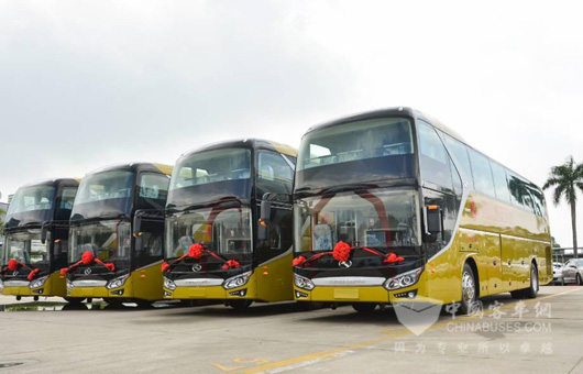 20辆XMQ6125CY交付逸安旅游