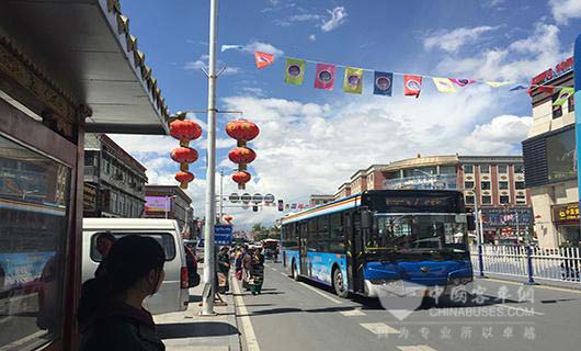 拉萨街头随处可见的宇通公交车