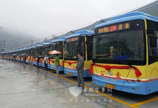 大金龙纯电动公交车投入运营