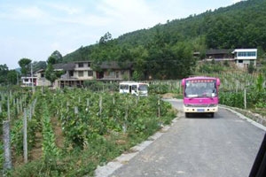 农村客运八种典型模式