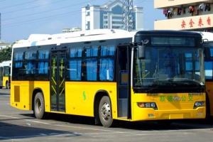 佛山年内更新、新增283辆LNG公交