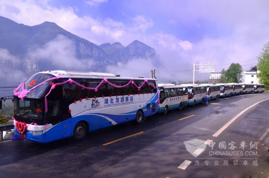 贴喜字的迎亲旅游大巴车