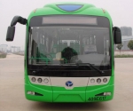 30辆扬子江客车武汉街头耀绿色旋风