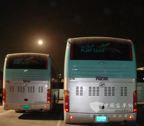 海格享受阿拉伯“十五的月光”