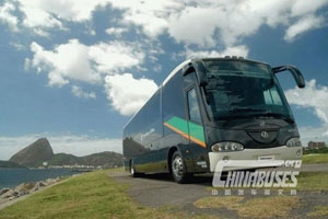 2010年曼在南美地区产销量创纪录