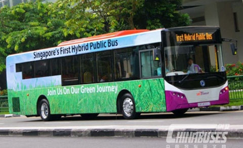    新加坡公交车