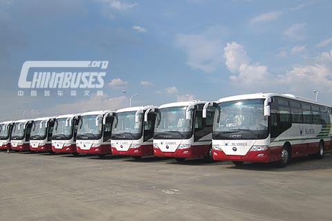 50辆福田欧辉校车奔赴阿尔及利亚
