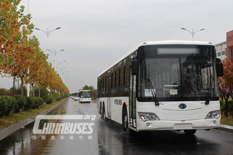 百路佳扬帆中南美