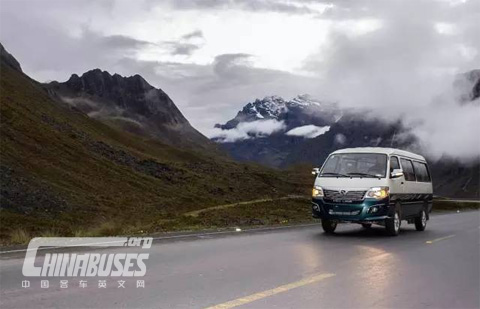 出口玻利维亚的金龙金威