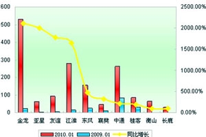 2010年1月小型客车销售增长TOP10
