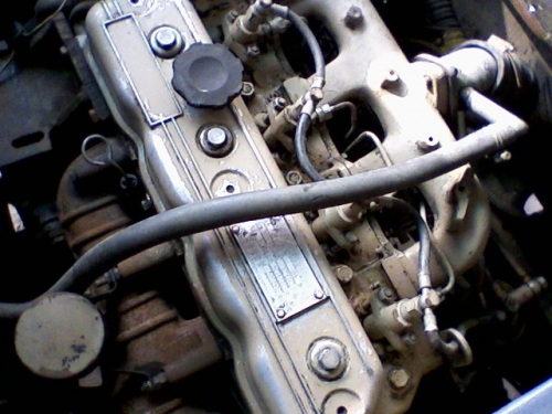 张家港出的东欧客车