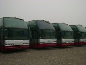 青年大商务客车销售