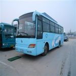 03年36座金龙出售，玉柴机器。车况特好