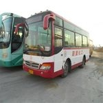 公交车，公交车，公交车！！！