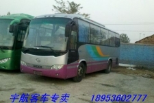 11年39座海格6920