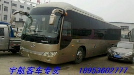 10年50座金龙6120