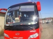 厦门金龙带活出售