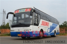 供应大汉尼奥普兰厂价直销全新中大型豪华客车