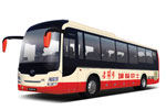 黄海DD6125B03N公交车(天然气国五24-52座)