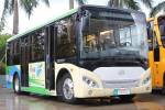 五洲龙FDG6801EVG公交车(纯电动15-24座)