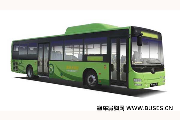 黄海DD6129B50N公交车(天然气国五22-46座)