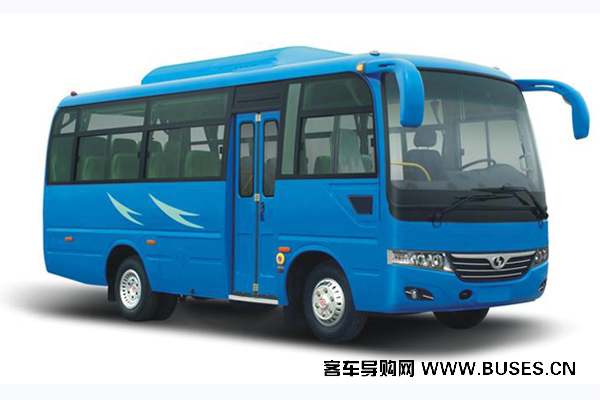 少林SLG6661T5F客车(天然气国五24-25座)