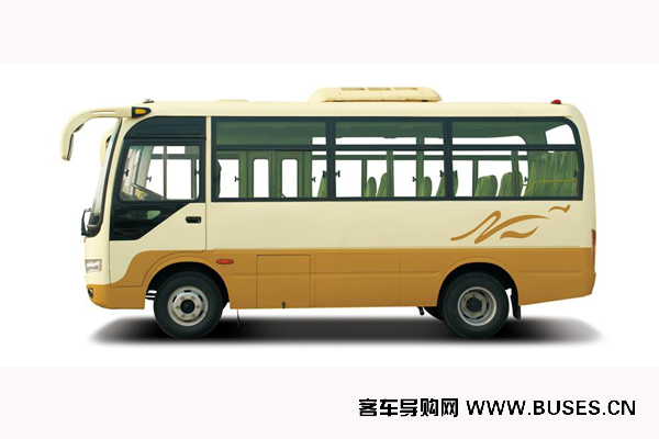 少林SLG6600T5F客车(天然气国五10-19座)