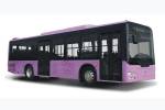 少林SLG6105T5GFR公交车(天然气国五10-42座)